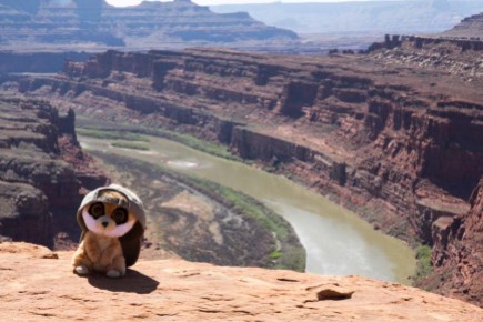 Canyonlands, Goosenecks Overview, Colorado River, Ed the meerkat, suricate, maskot, USA